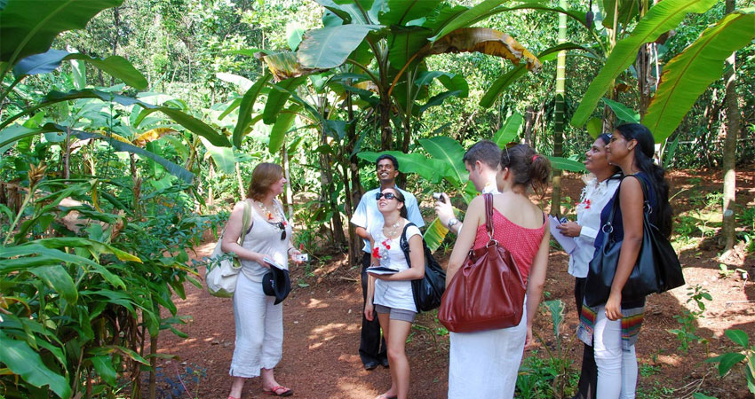 Sahakari Spice Farm